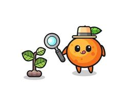 cute mandarin orange herbalist researching a plants vector