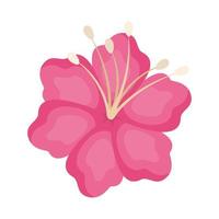 diseño de vector de flor hawaiana rosa aislado
