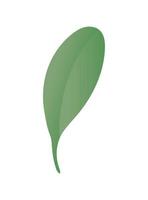 Isolated green leaf vector design