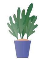 Isolated plant inside pot vector design