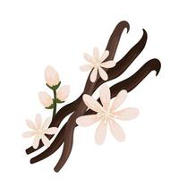 vanilla branch design vector