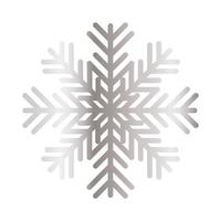 snowflake of color light gray on white background vector