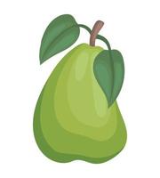 green pear illustration vector