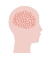 head and brain silhouette vector