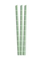 green bamboo illustration vector