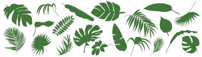 conjunto de hojas tropicales. ilustración vectorial de varios follaje verde aislado en blanco. vector