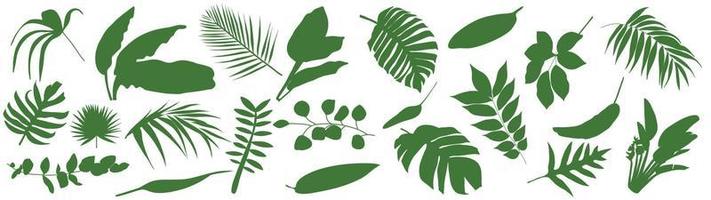 conjunto de hojas tropicales. ilustración vectorial de varios follaje verde aislado en blanco. vector