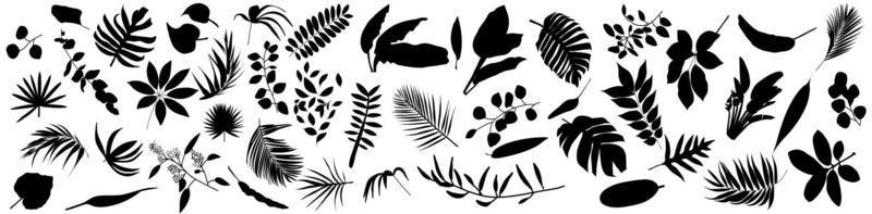 Set of Tropical leaves. Vector illustration of various black foliage isolated on white.