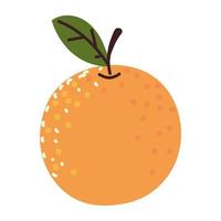 fruta naranja fresca vector