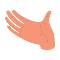 hand open the palm vector