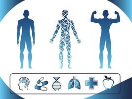 human body healthy icons vector