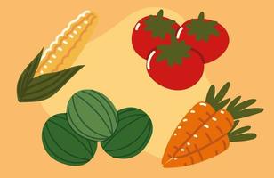 set icon fruits and vegetables vector