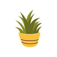 houseplant greenery decoration vector