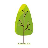 tree vegetation nature vector