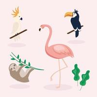 cuatro animales tropicales vector