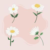 set of flowers with branches vector