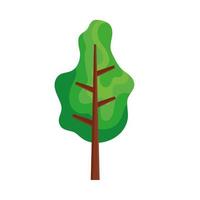 tree nature plant vector