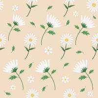 pattern of flowers daisy vector