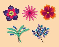 collection flowers and leaves vector