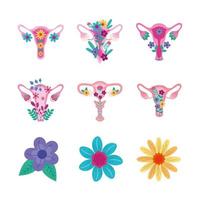 six vaginas and flowers vector