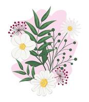 set of white flowers vector