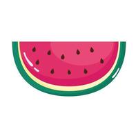 fresh watermelon half vector