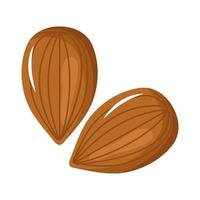 almonds seeds icons vector
