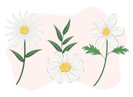 set of icons with white flowers