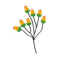 branch with flowers vector