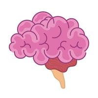 pink brain of side vector