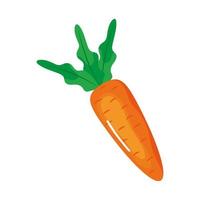 zanahoria vegetal fresco