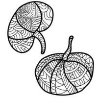 Two small pumpkins with fantasy patterns, ornate coloring page for Thanksgiving or Halloween vector