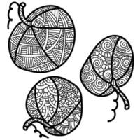 Three small pumpkins with fantasy patterns, ornate coloring page for Thanksgiving or Halloween vector