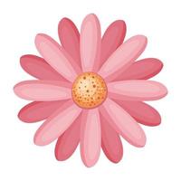 Isolated pink flower vector design