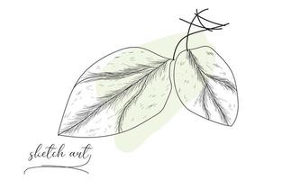 Beautiful hand drawn leaf sketch design. vector