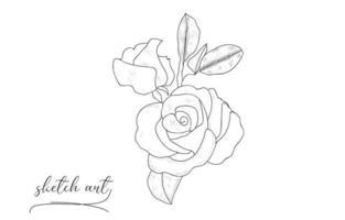 Beautiful Hand drawn flower rose sketch vector illustration.