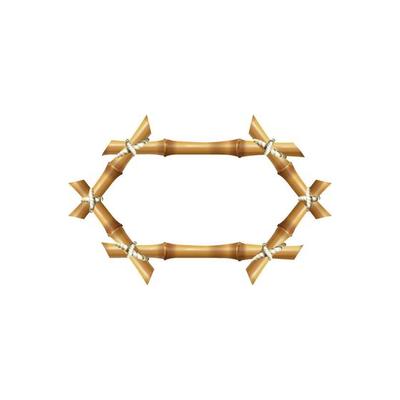 Bamboo frames geometric forms nature bamboo rustic plants tropical objects japanese authentic frames stick bamboo square decoration various frame illustration