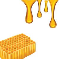 miel volantes dulce miel realista panal salpicaduras de oro vector granja comida fresca pancartas plantilla ilustración oro miel comida dulce deliciosa tarjeta