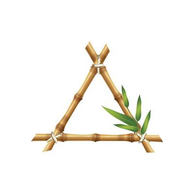 Bamboo frames geometric forms nature bamboo rustic plants tropical objects japanese authentic frames stick bamboo square decoration various frame illustration