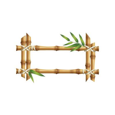 Bamboo frames geometric forms nature bamboo rustic plants tropical objects japanese authentic frames stick bamboo square decoration various frame illustration