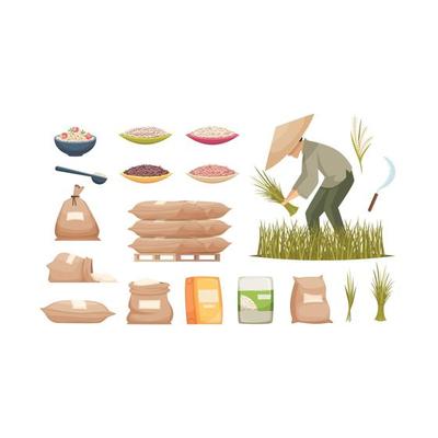 Rice bags agricultural products brown white rice transporting food ingredients vector illustrations rice sack bag healthy harvest agriculture