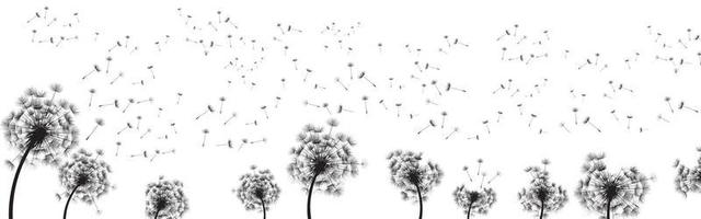 Abstract black dandelion, dandelion with flying seeds illustration  for stock vector