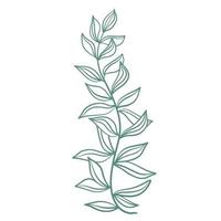 Graceful twig with leaves botanical element vector illustration