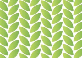 the background of the leaves is a combination of white and green vector
