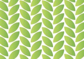 the background of the leaves is a combination of white and green vector