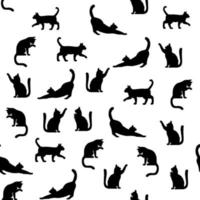 Seamless pattern of simply drawing kitty in various acting isolated on white background. vector