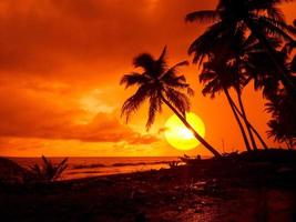 puesta de sol en la playa con silueta de palmeras foto