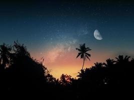 hermoso cielo nocturno con silueta de bosque y luna foto