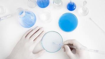 close up hands with pipette petri dish photo