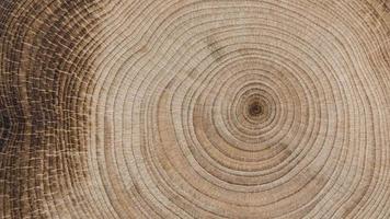 hermoso concepto de madera macro